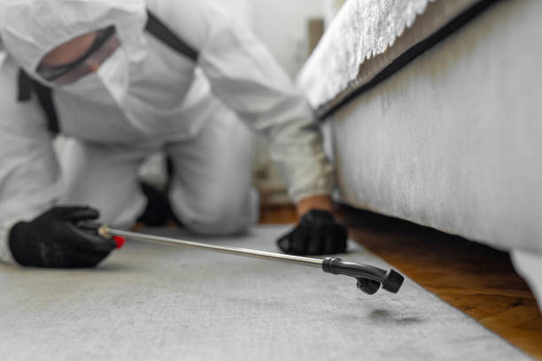 Professional Termite Control technician working in Sweetser, IN