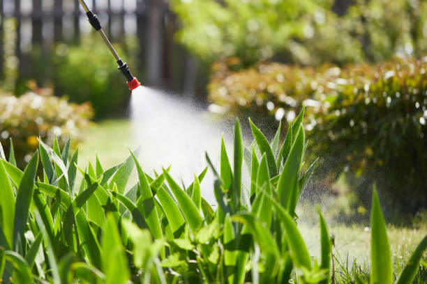 24/7 Emergency Termite Control experts in Sweetser, IN